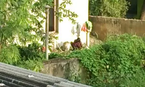 गधा बेब बिग सेक्सी इंग्लिश सेक्सी मूवी स्तन सुनहरे बालों वाली प्रेमिका कट्टर