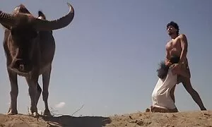 लक्स kassidy फुल सेक्सी इंग्लिश मूवी