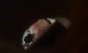 साशा सेक्स मूवी इंग्लिश फिल्म